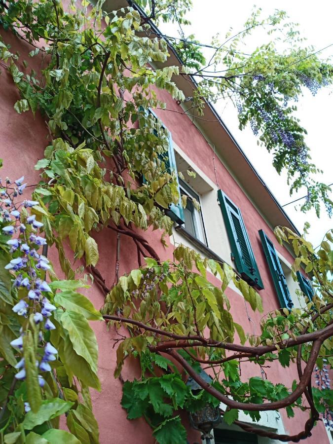 Coreglia Ligure @Gatetothewild B&B 외부 사진