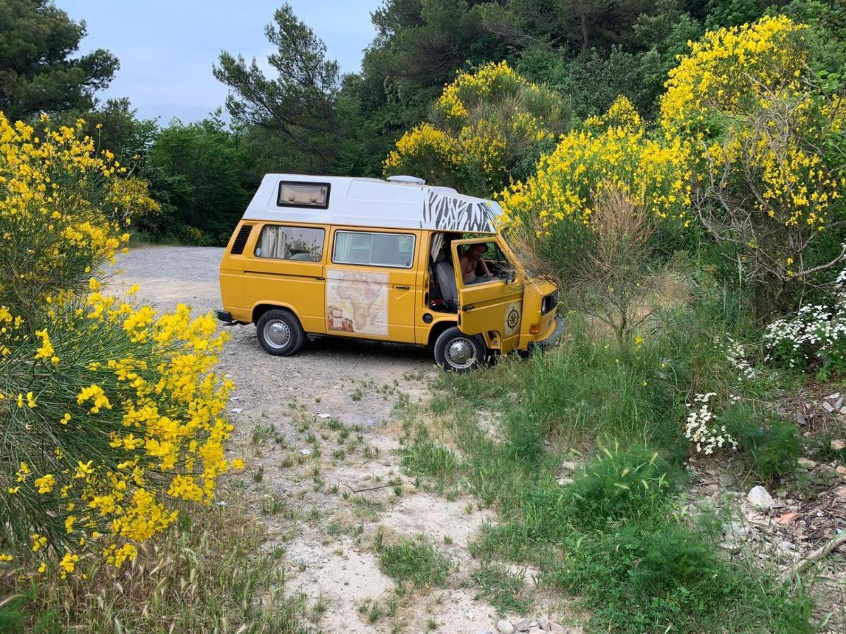 Coreglia Ligure @Gatetothewild B&B 외부 사진