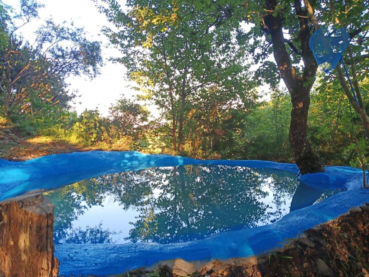 Coreglia Ligure @Gatetothewild B&B 외부 사진